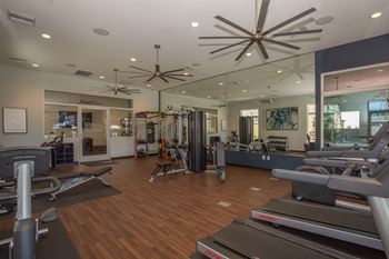 Gym with equipment